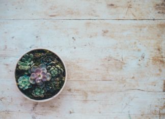 Trends you Better Ditch Sooner than Later