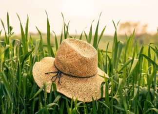How to Choose The Best Hat For Your Face Shape