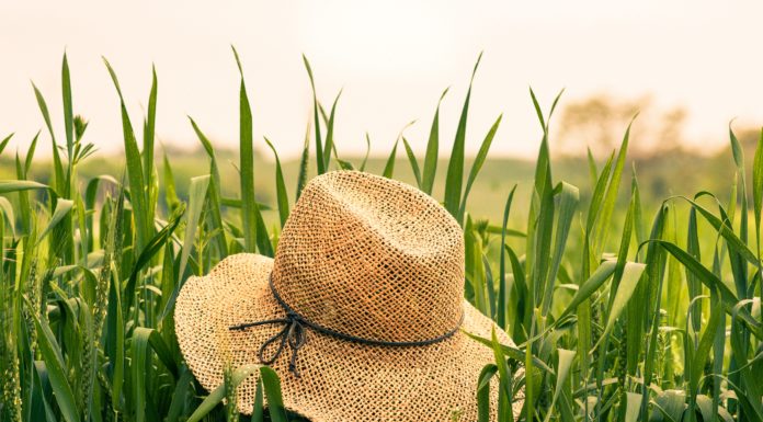 How to Choose The Best Hat For Your Face Shape