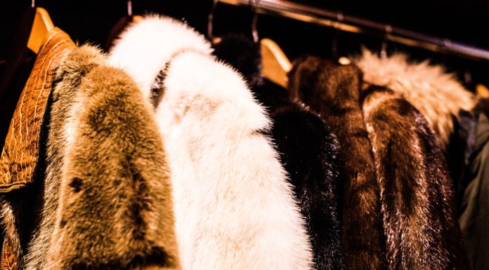 Prada and Miu Miu Embrace Change by Ditching Fur