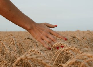 Landscape-Inspired Nail Designs Will Be All the Rage This Year Landscape-Inspired Nail Designs