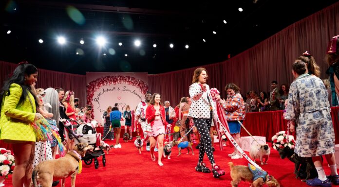 Two Designers Hosted a Dog Fashion Show in New York Susan Alexandra x Rachel Antonoff show, Front Row, Spring Summer 2025, New York Fashion Week in September 2024